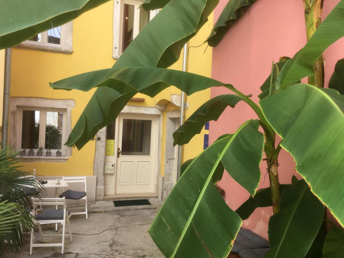 Casa Colloredo Free Parking Rovinj Bagian luar foto